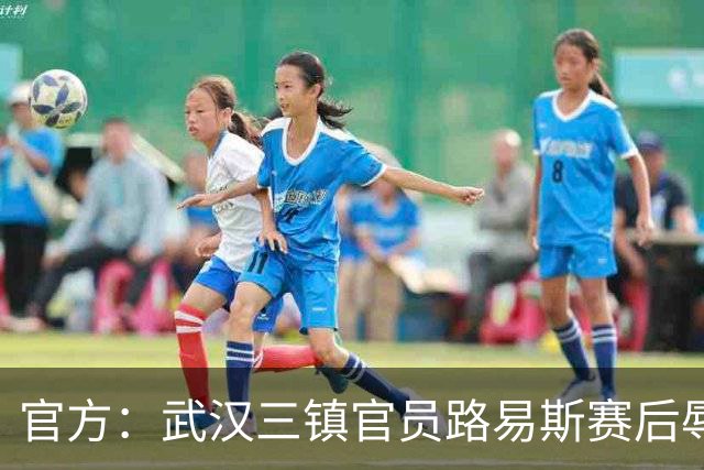 官方：武汉三镇官员路易斯赛后辱骂裁判员，被禁赛5场并罚款5万元
